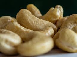 cashew pic